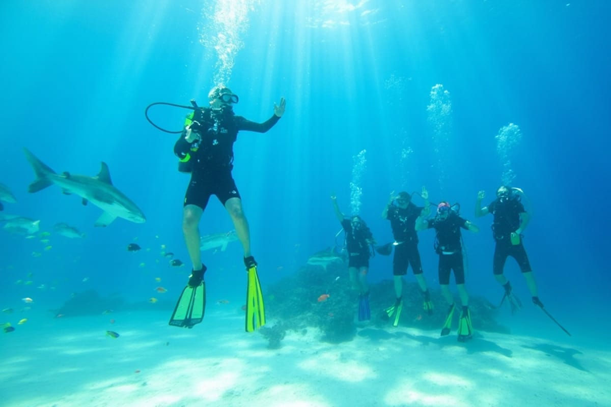 Rescue Diver