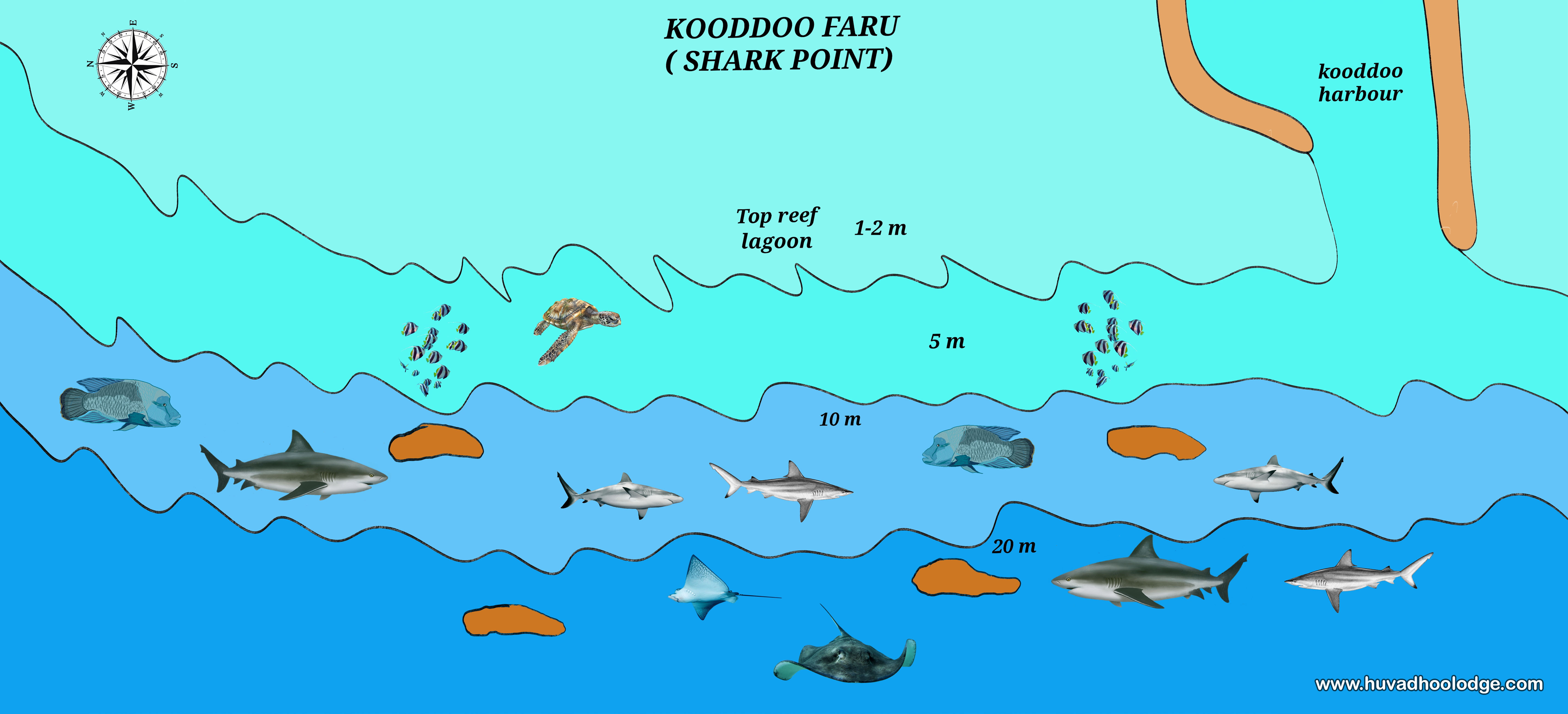 Kooddoo Faru (Shark Point)