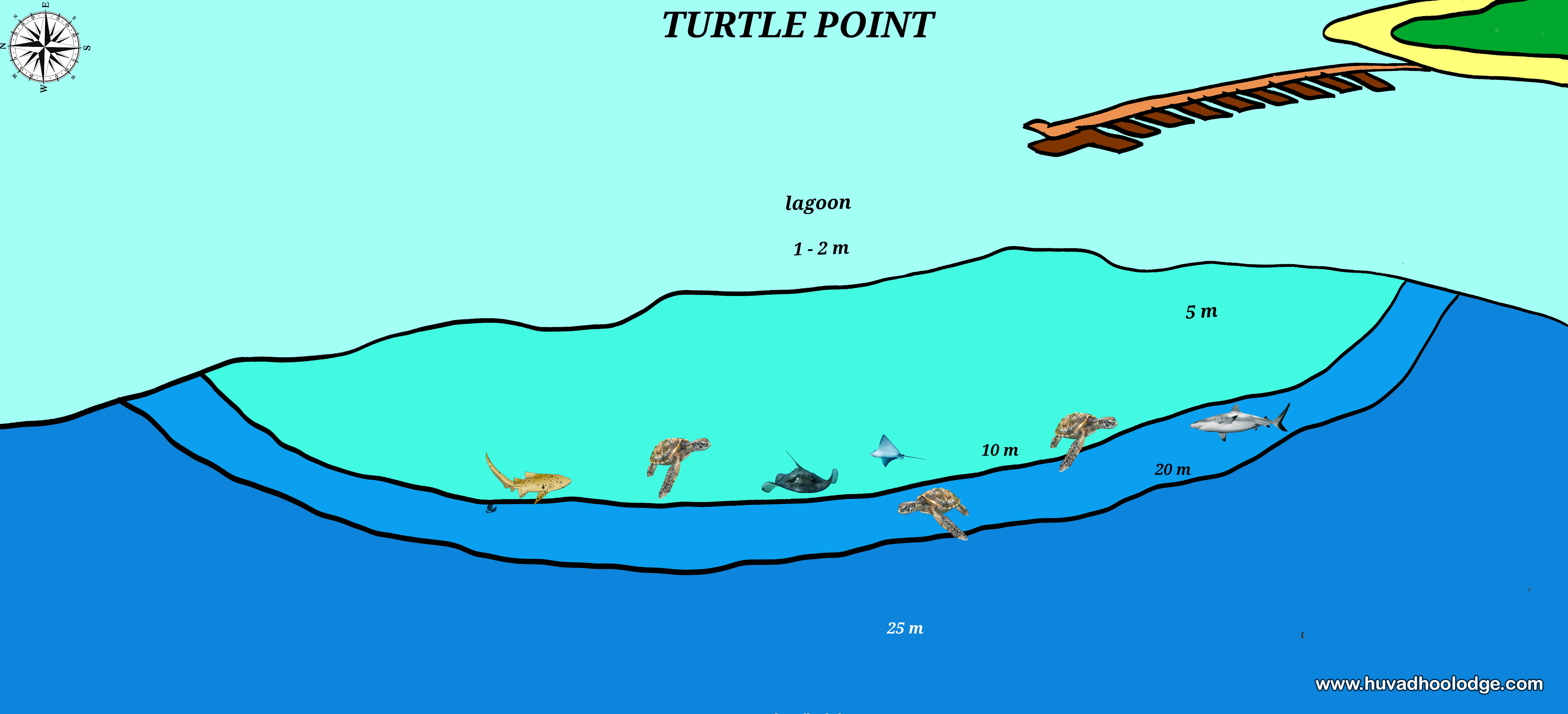 Turtle Point